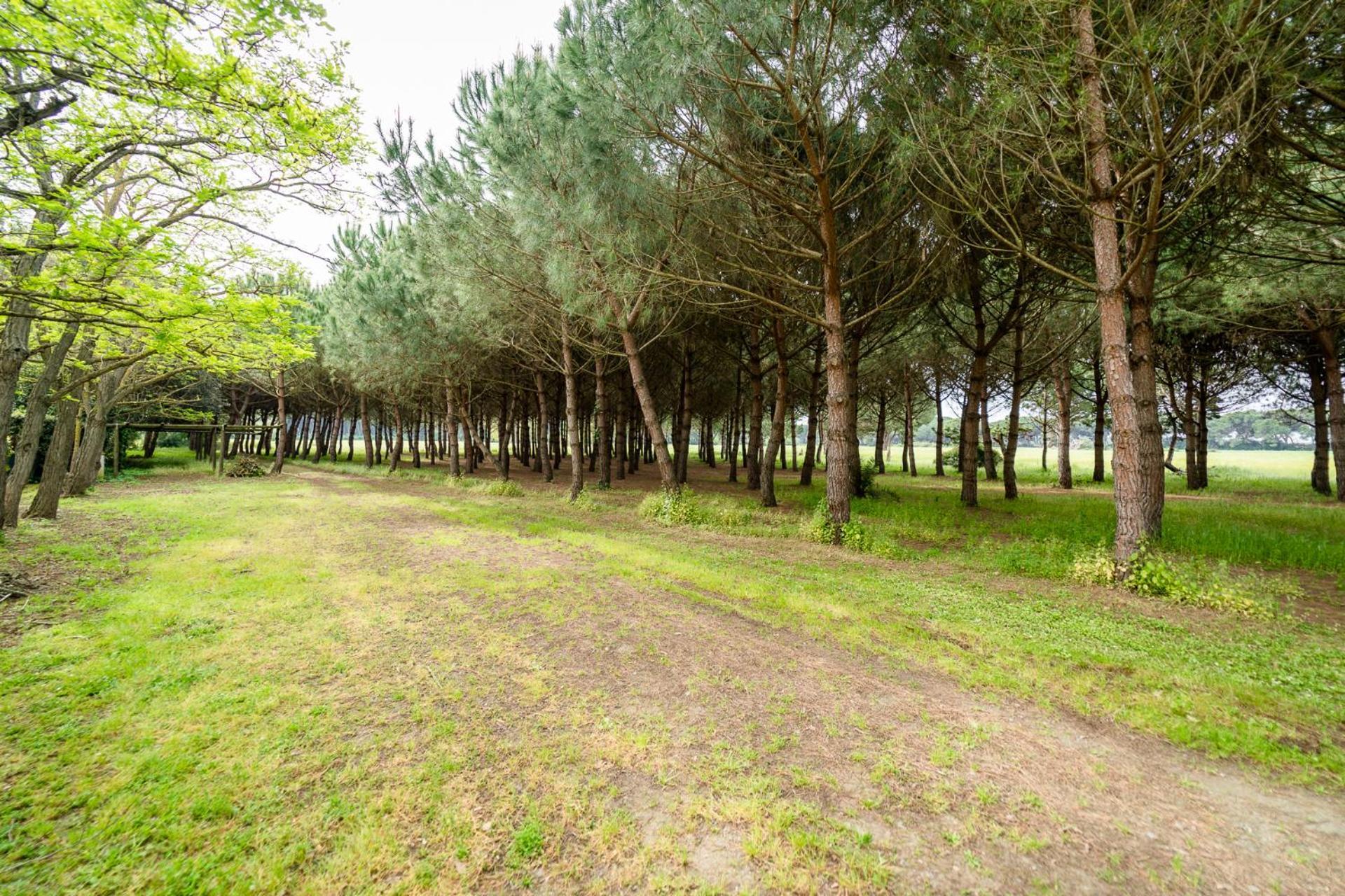 Bio Femminella Apart-hotel Principina a Mare
