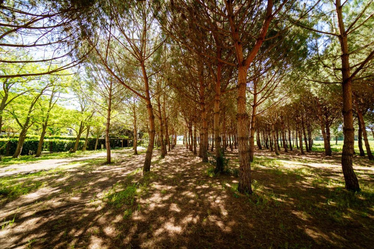 Aparthotel Bio Femminella Principina a Mare